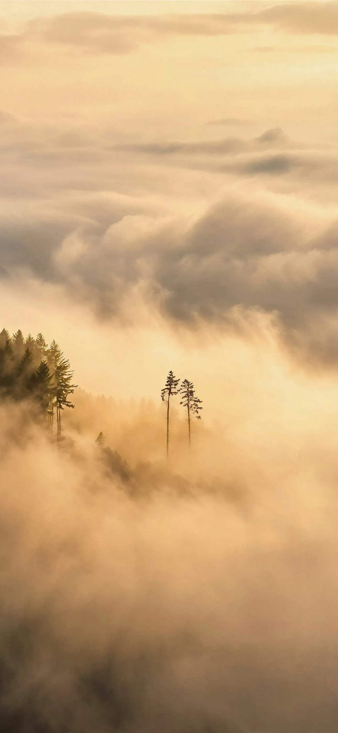 Best Fog iPhone HD Wallpaper