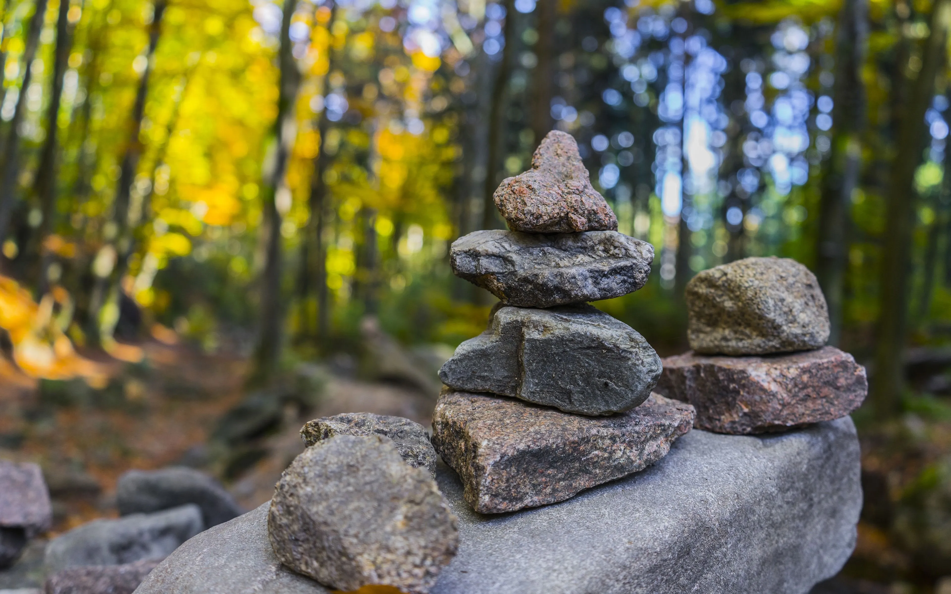 Autumn Jungle Stacked Rock 4K HD Photo
