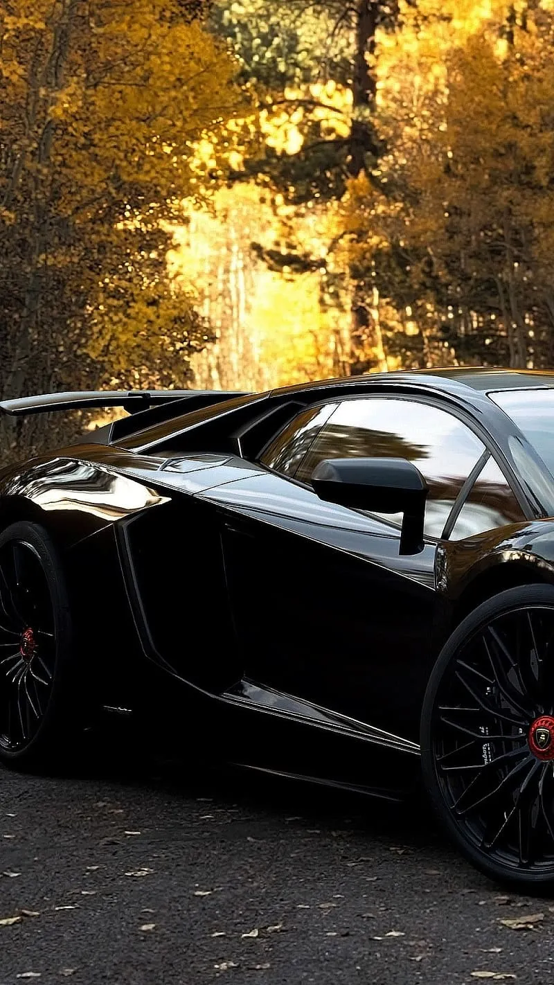 Black Lamborghini With Forest Background, black lamborghini, lamborghini with forest background, HD phone wallpaper