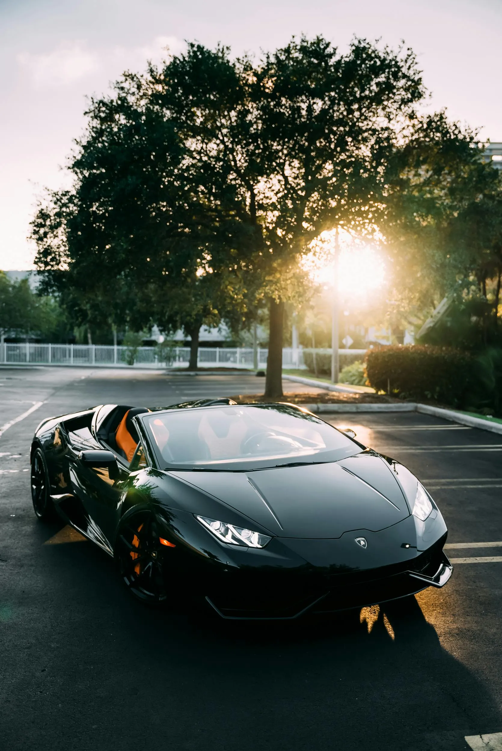 Black Lamborghini on White Background · Free