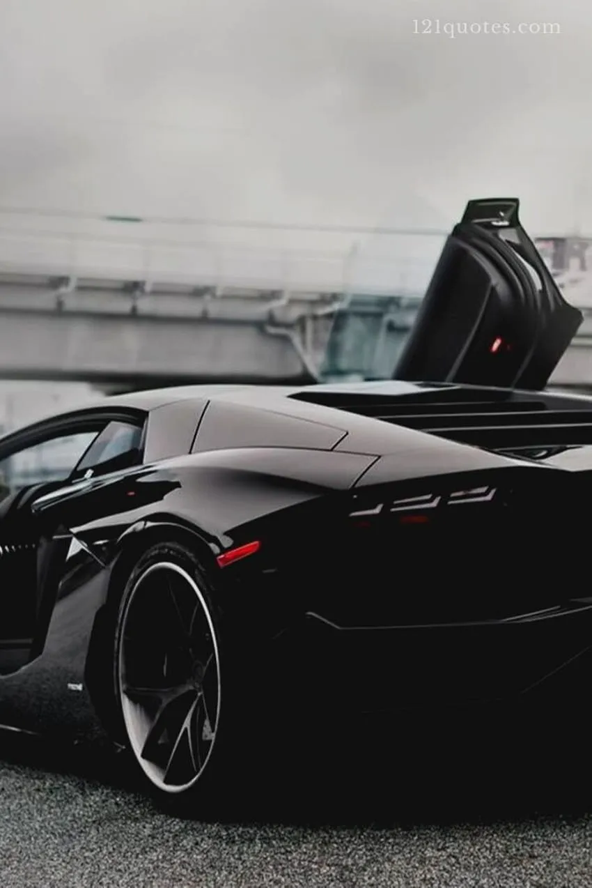Cool Lamborghini for Mobile and, Black and White Lamborghini HD phone wallpaper