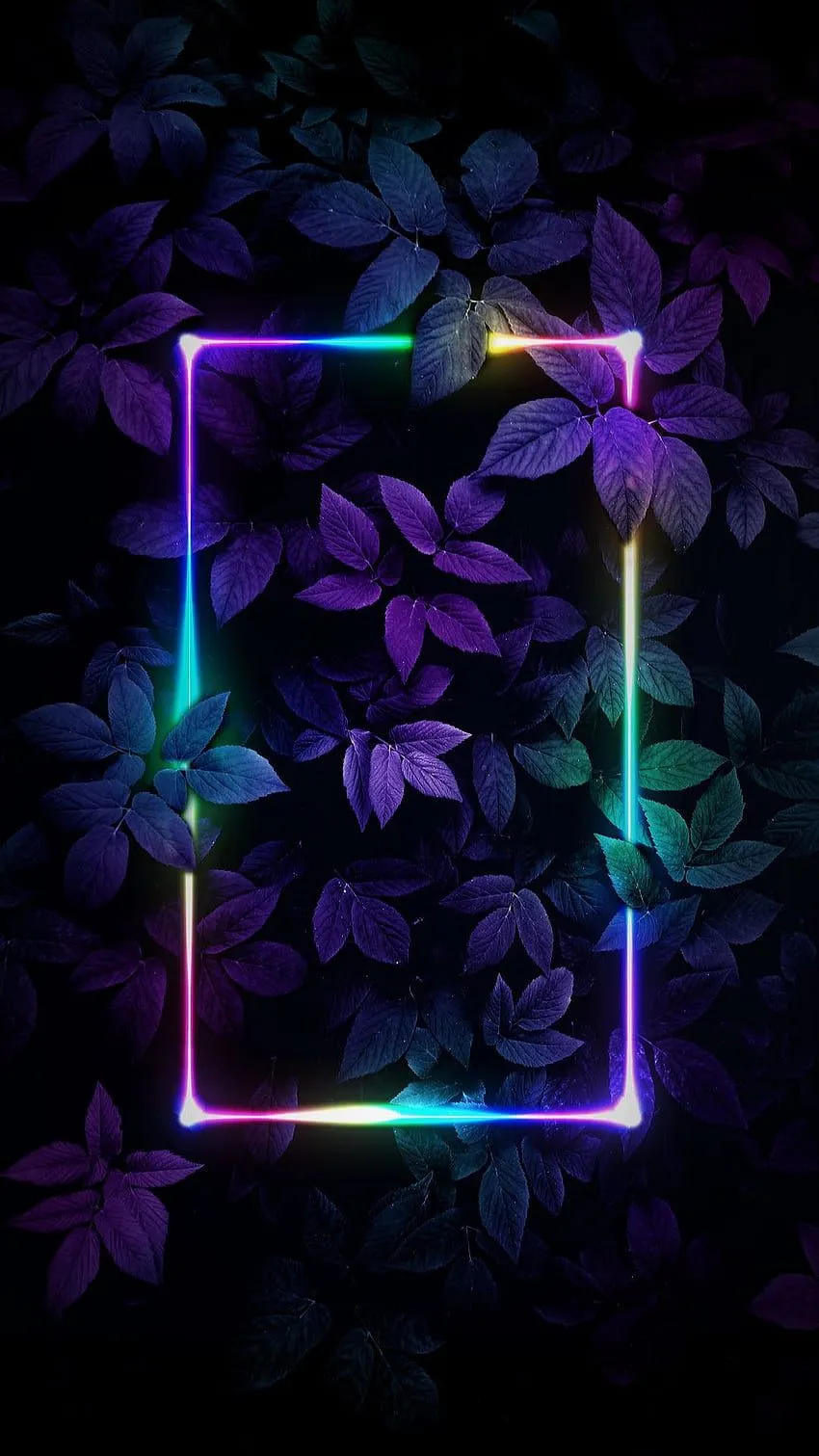 Leaves, neon, dark, purple, rectangle HD phone wallpaper