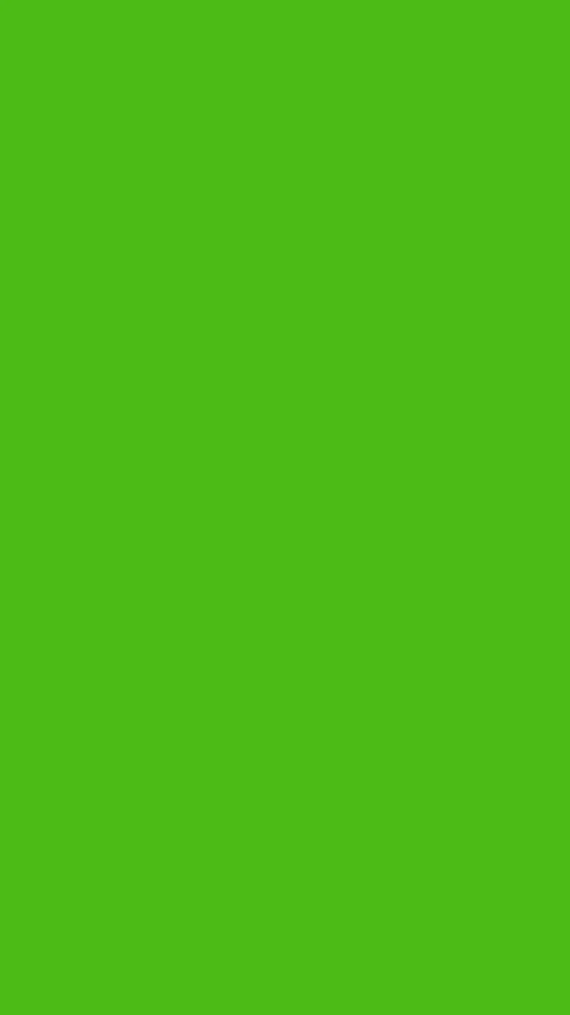 Lime Green iPhone Wallpaper Image Wallpaper
