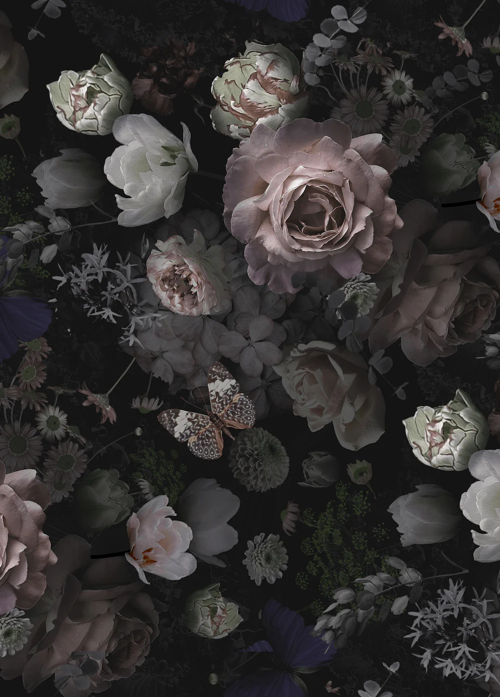 Dark Floral Butterfly Peel and Stick Wallpaper