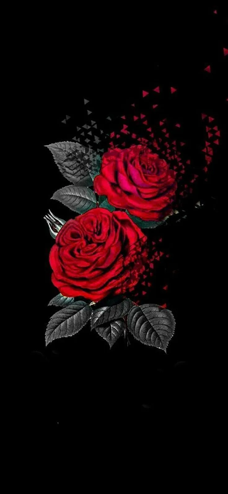 Dark flower wallpaper ideas to save today. flower wallpaper, red roses wallpaper, dark flowers and more