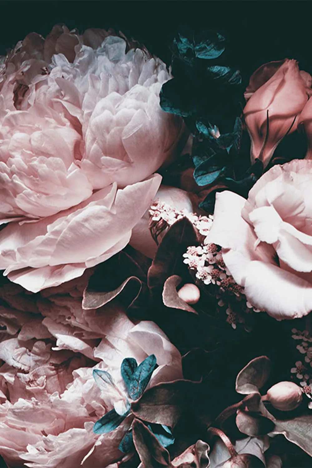 Download Captivating Dark Floral Background