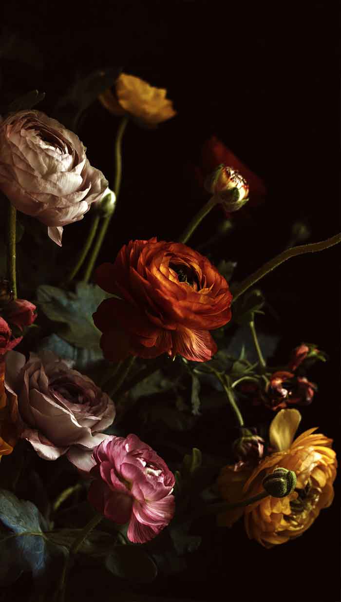 Ideas of Aesthetic Floral Wallpaper for iPhone Mood Guide