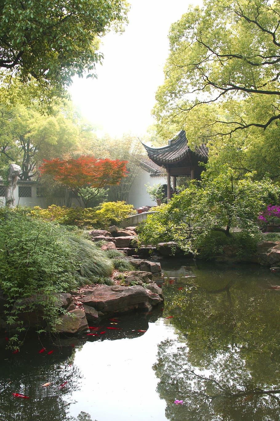 jichang garden landscape, Jichang Garden, landscape, Wuxi, Jiangsu, China, photo, public domain