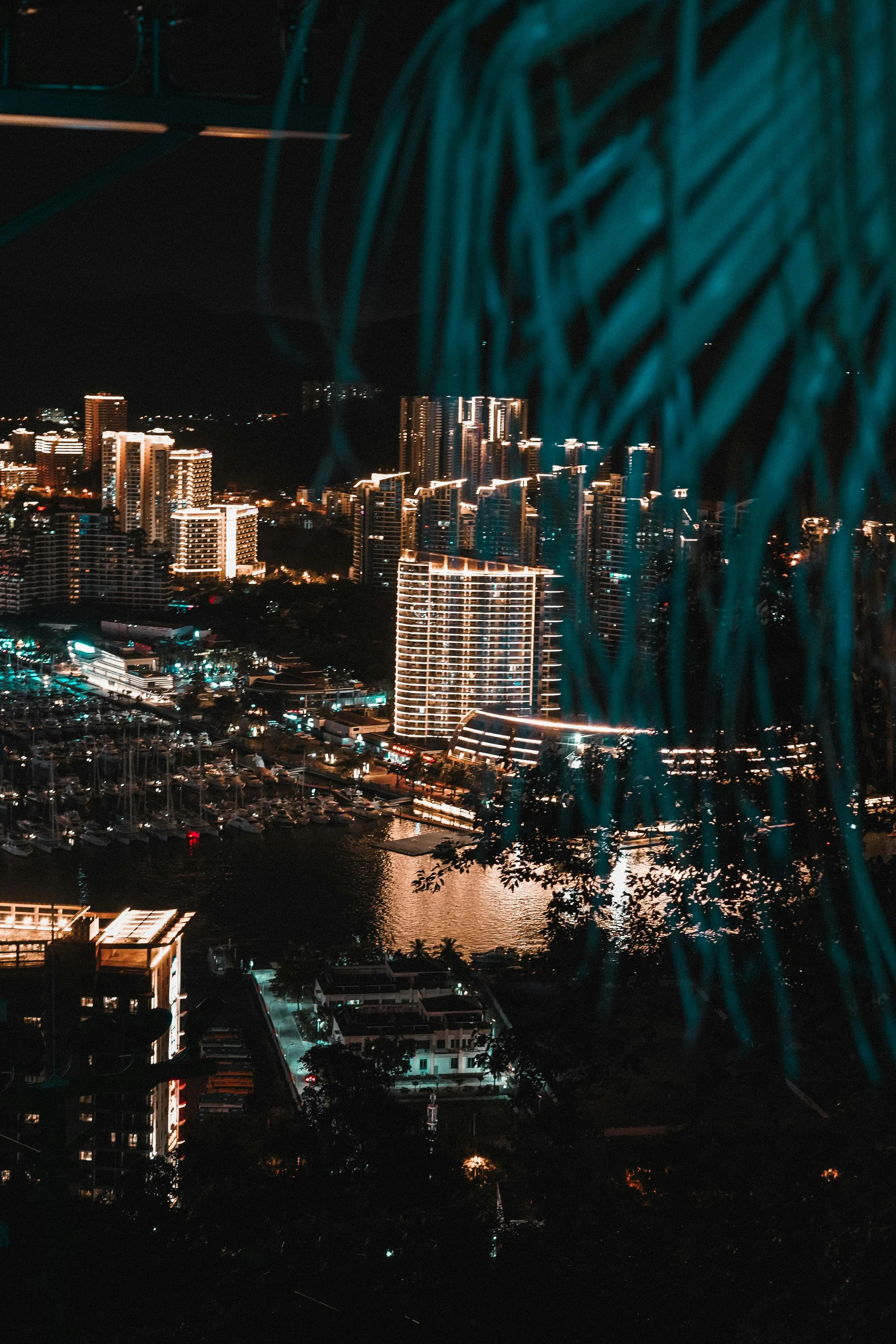 View of the City at Night · Free