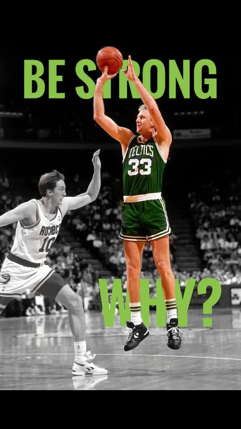 3200x1800px, 2K free download. Larry Bird Nba, basketball, HD phone wallpaper