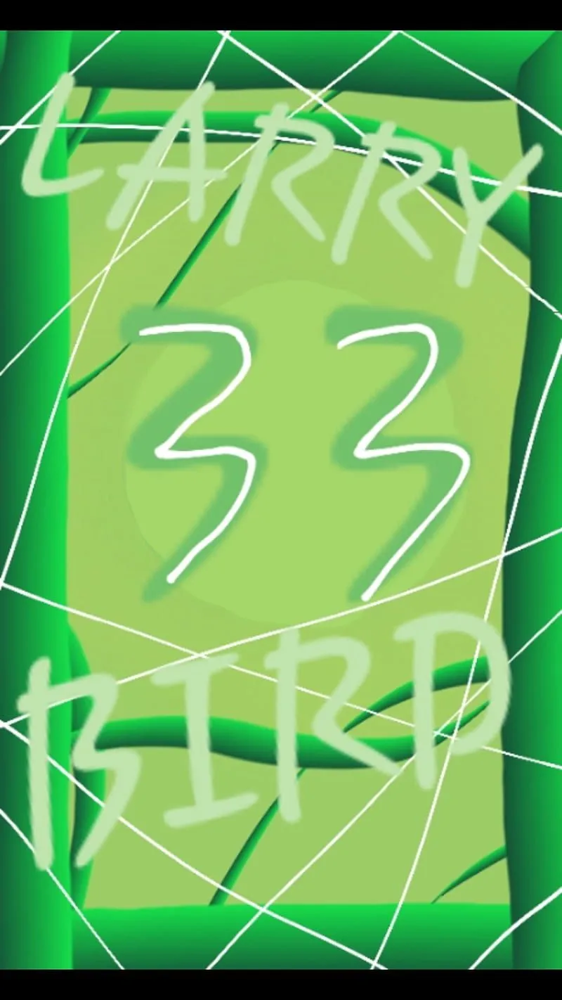 Larry Bird, boston celtics, celtics 33, HD phone wallpaper