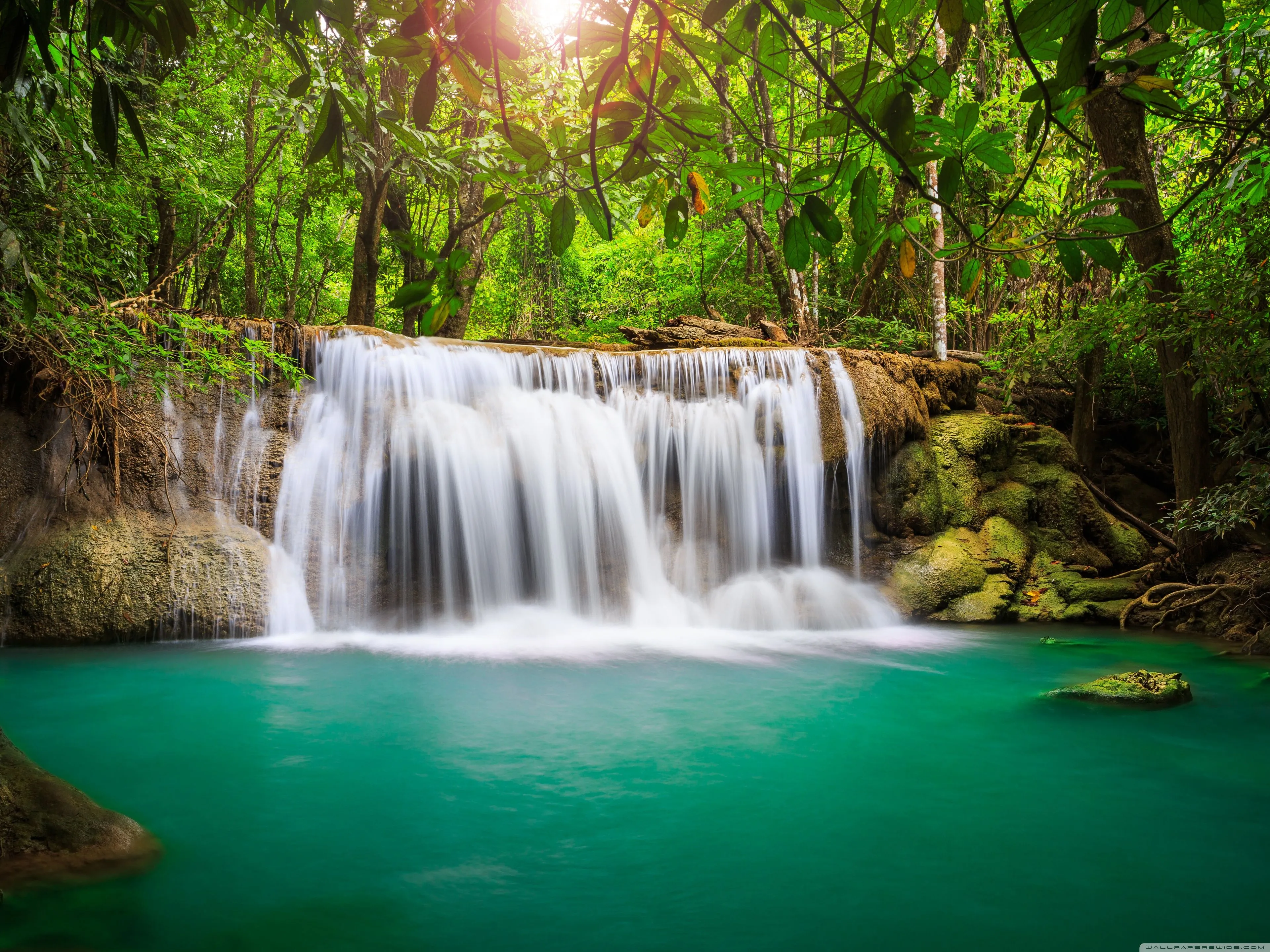 Rainforest Waterfall 4K UHD Wallpaper for UltraHD Desktop and TV, Widescreen and UltraWide Display, Dual Monitor, Smartphone and Tablet Devices