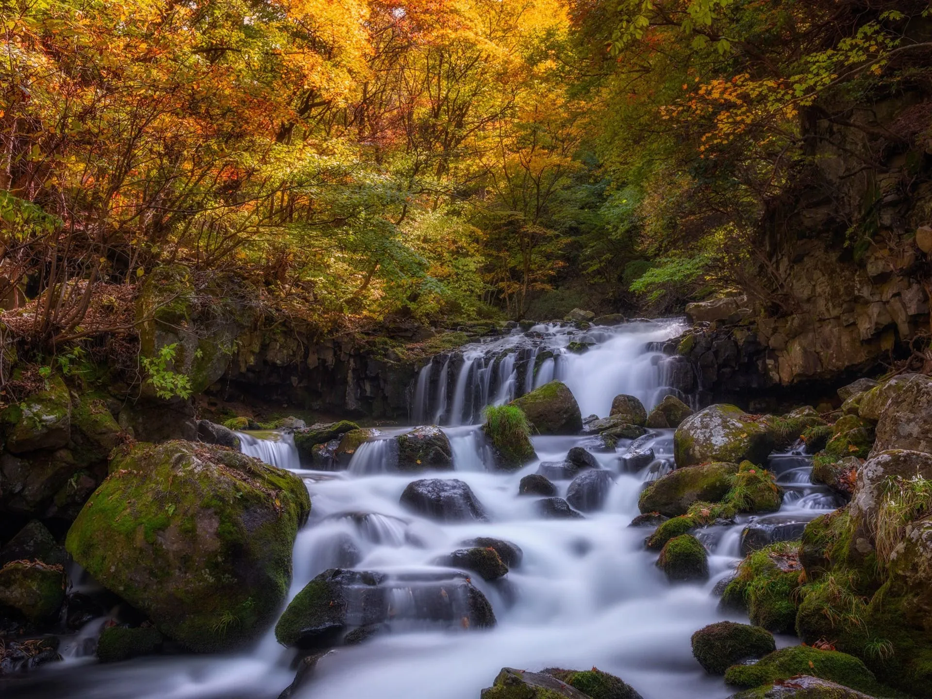 Stream Waterfall Autumn HD Nature Wallpaper