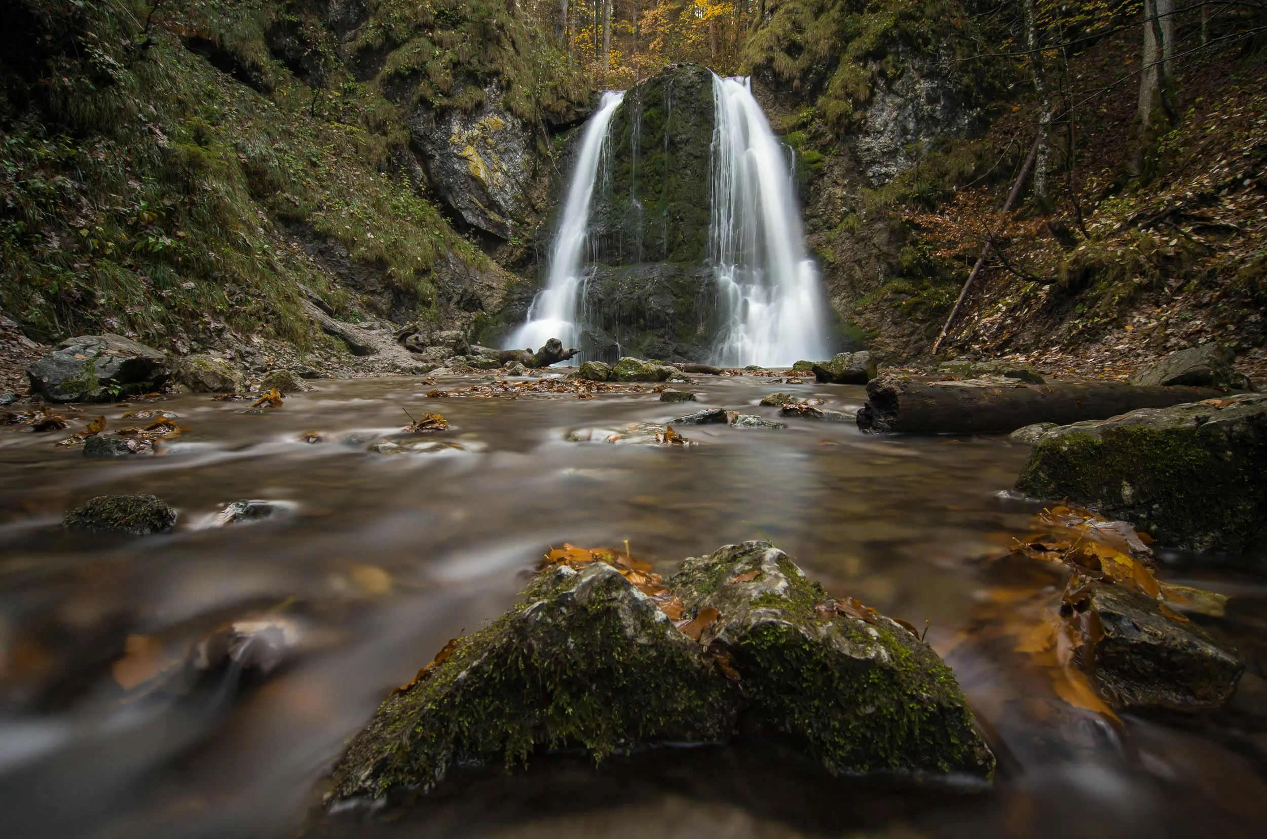 Waterfalls in Forest · Free