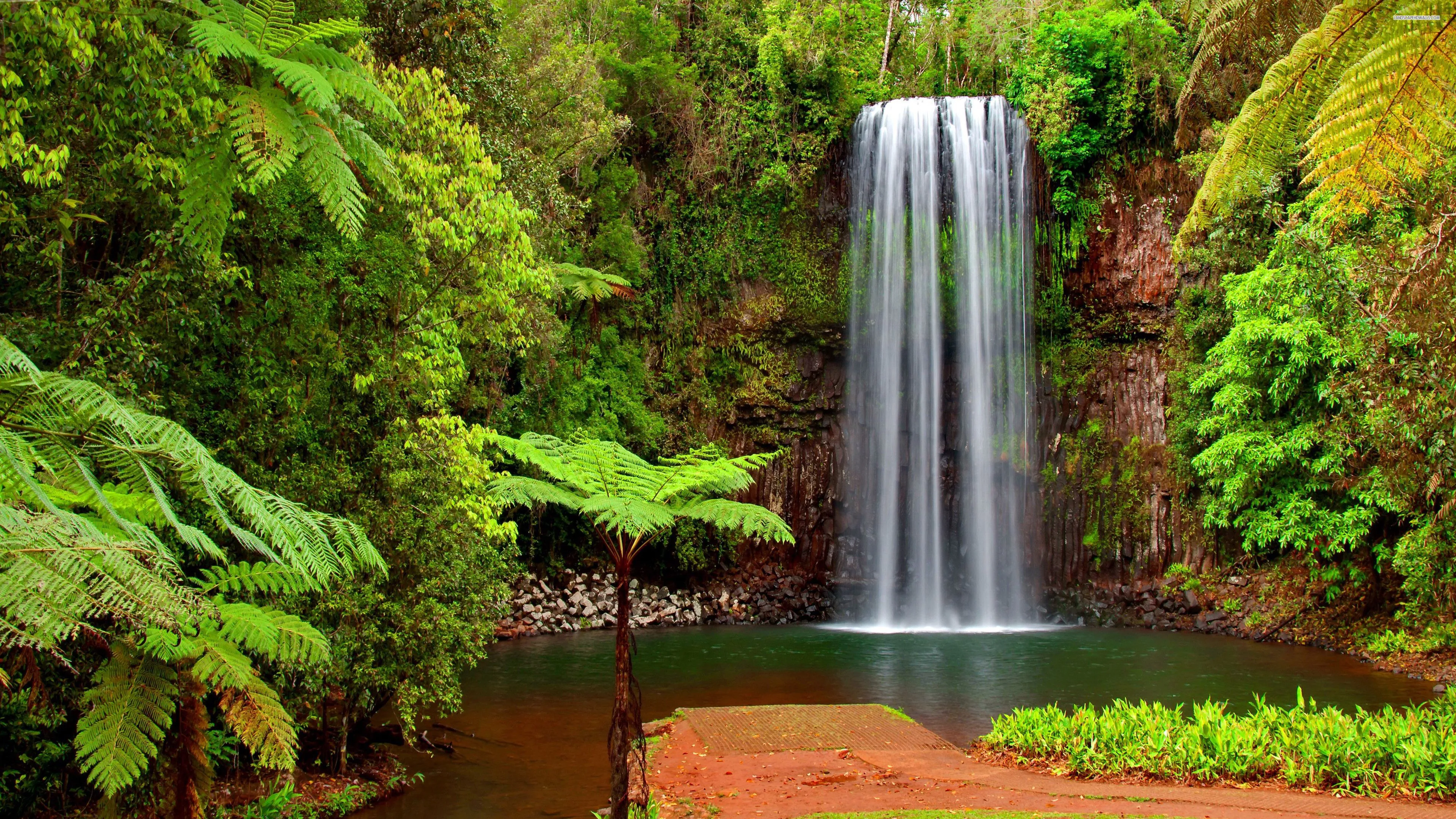 Desktop wallpaper: Earth, Waterfall, Waterfalls, Tropical, Greenery 4K free download for PC. 379093