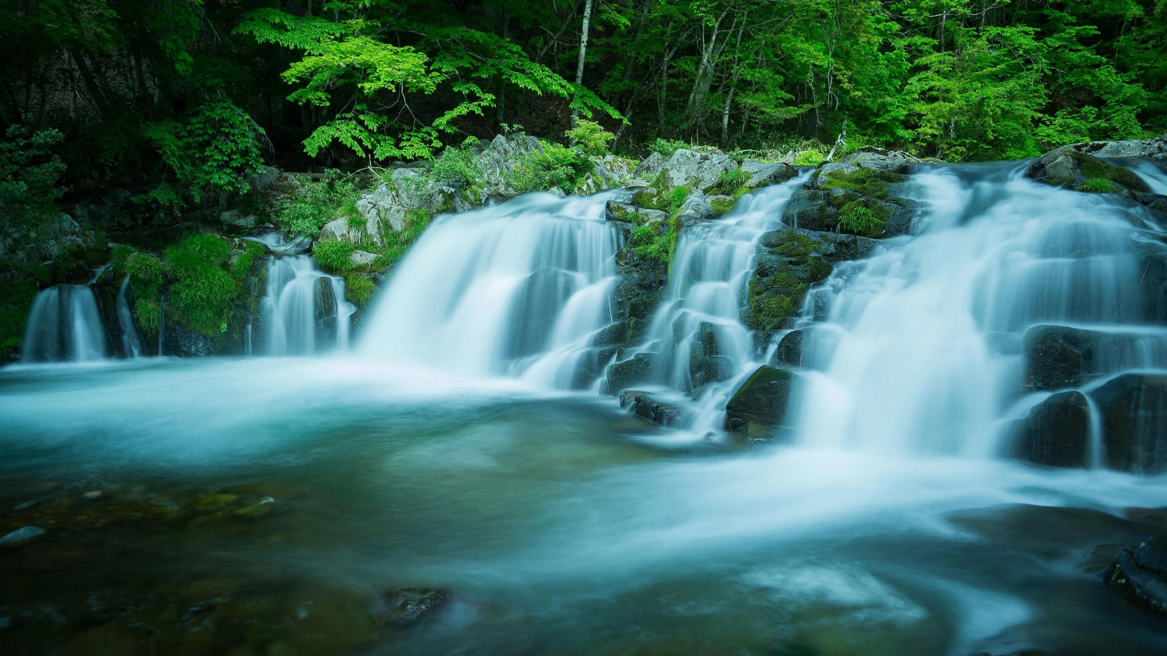 Beautiful Forest Waterfall wallpaper. nature and landscape