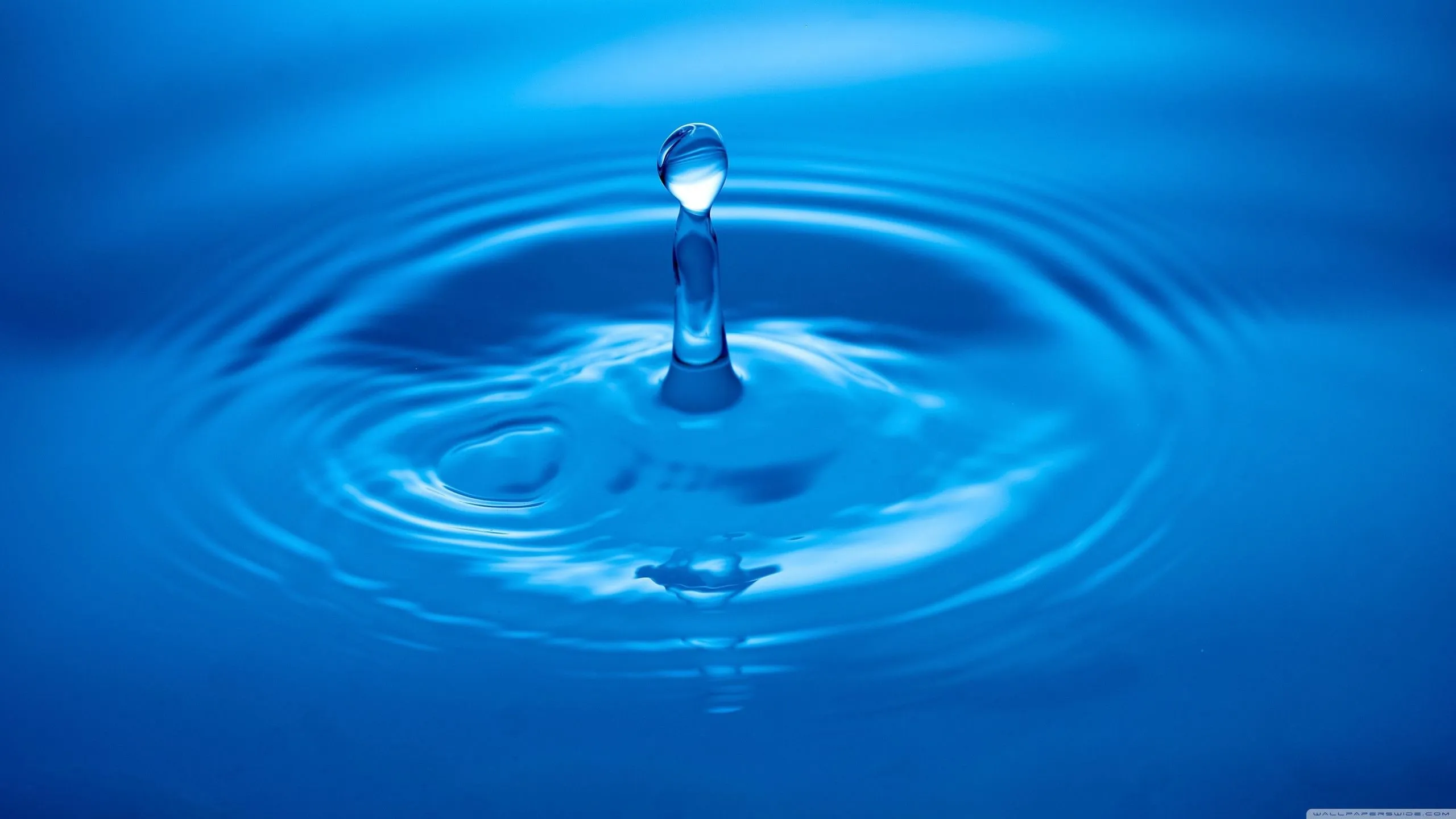 Water Drop Desktop Wallpaper 119415