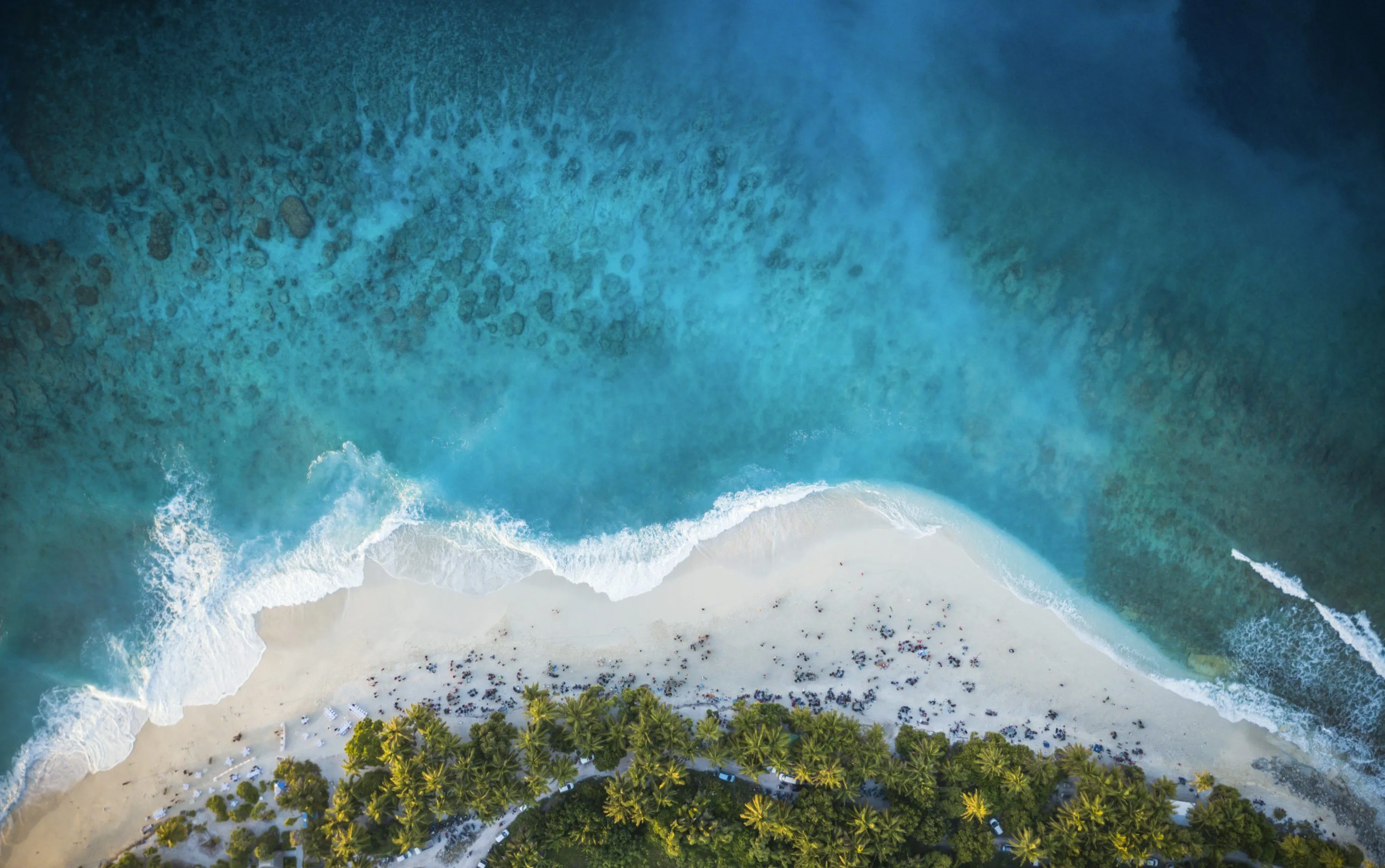 Aerial view of green trees and white sand beach during daytime photo