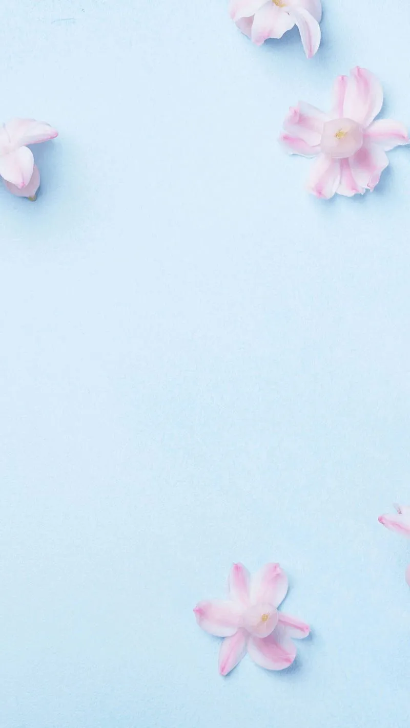 Light Blue Aesthetic Pink Flower, Cute Blue Floral, HD phone wallpaper
