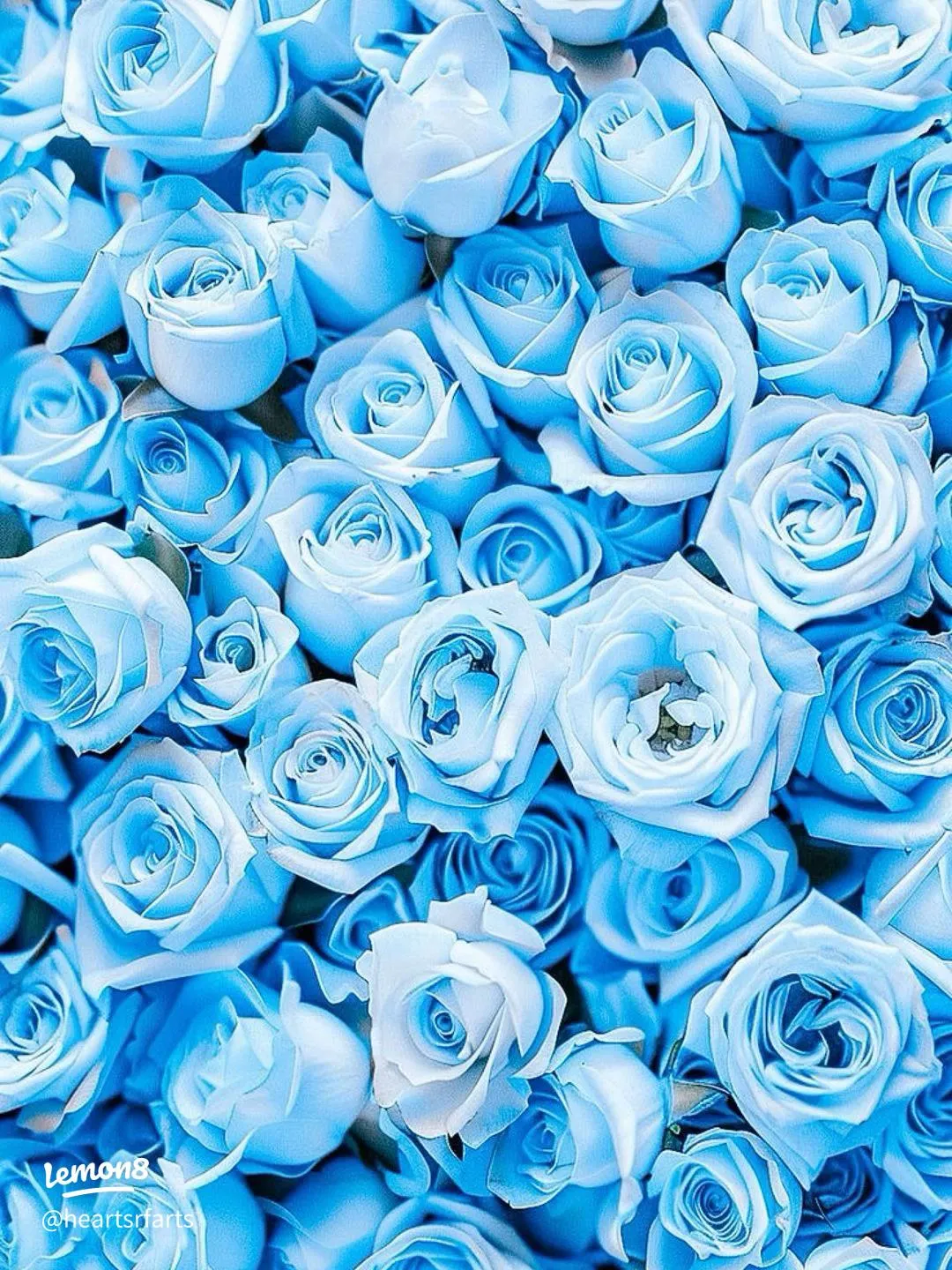 Stunning Cute Blue Wallpaper for Your Device