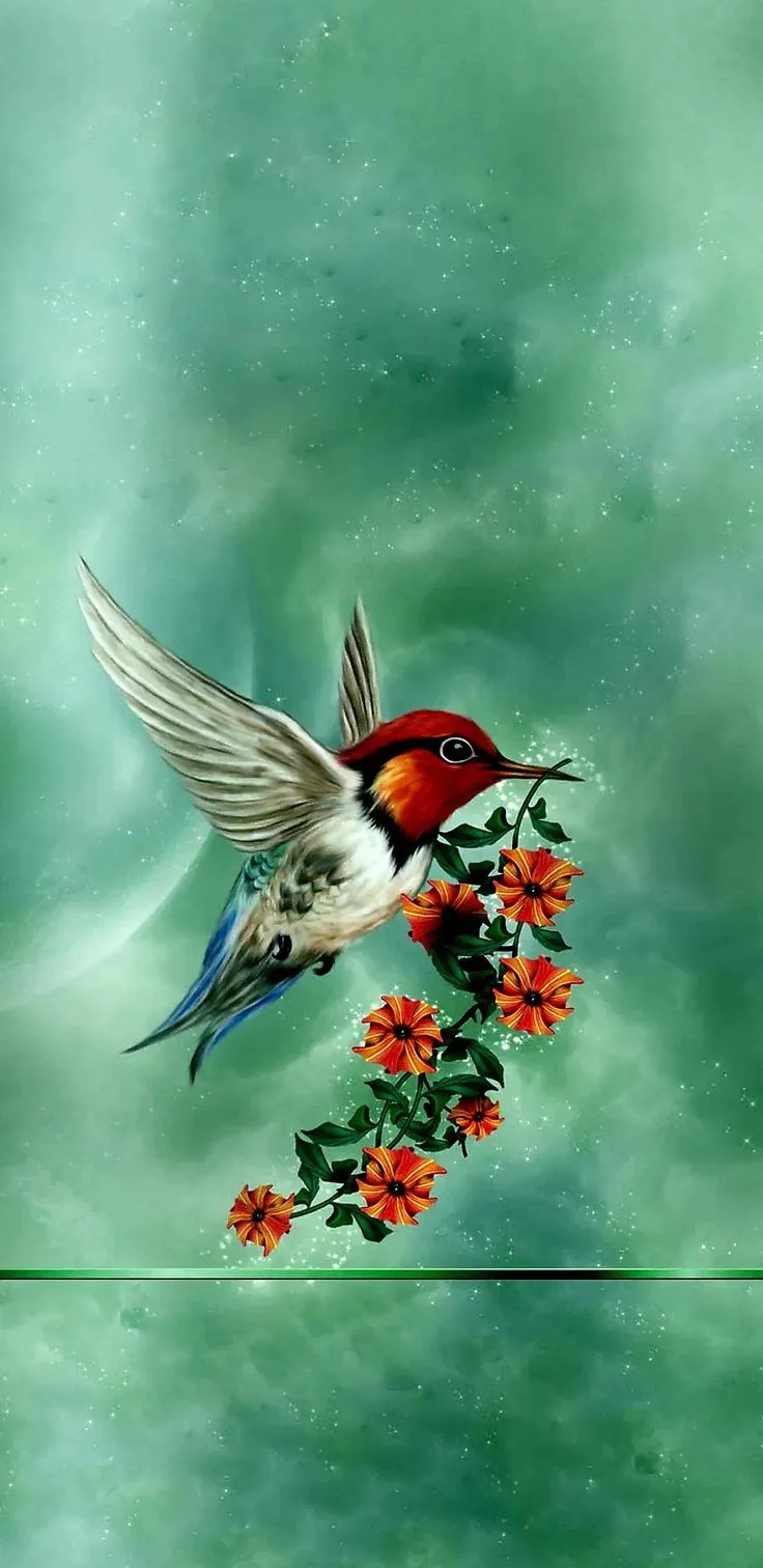 Cell Phone WallPapers. Hummingbird wallpaper, Screen savers wallpaper, Bird wallpaper