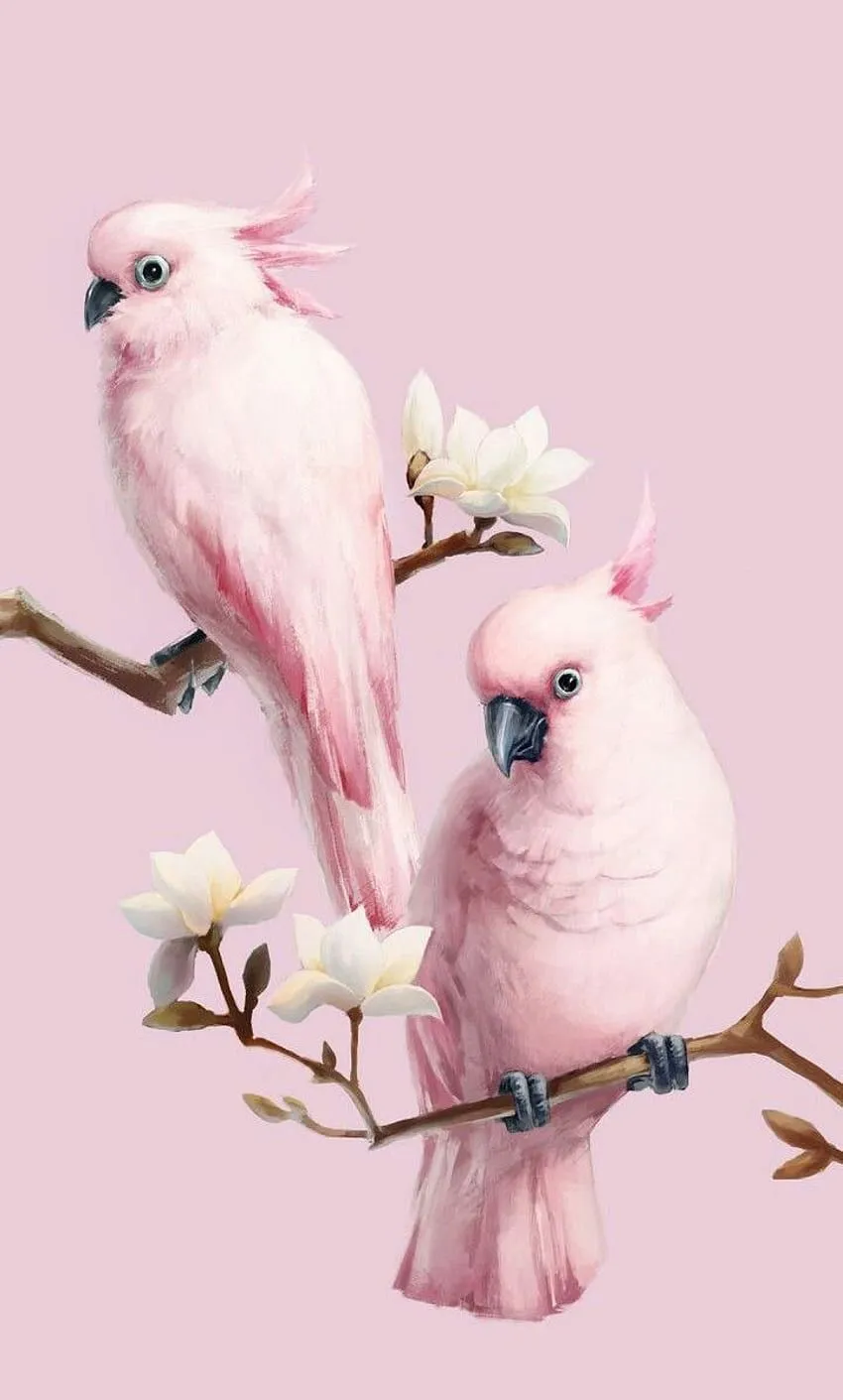 Beautiful Pink Bird Mobile. Bird, Animal, Birds Mobile HD phone wallpaper