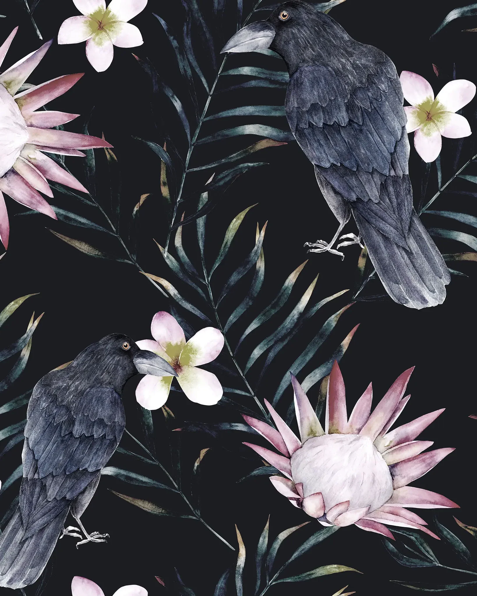 Birds Wallpaper Collection Inspired Designs