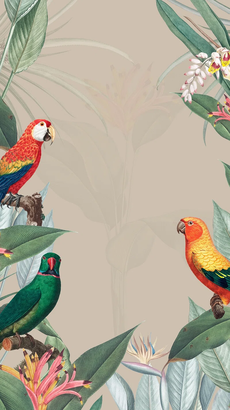 Parrot birds frame iPhone wallpaper. Premium Photo Illustration