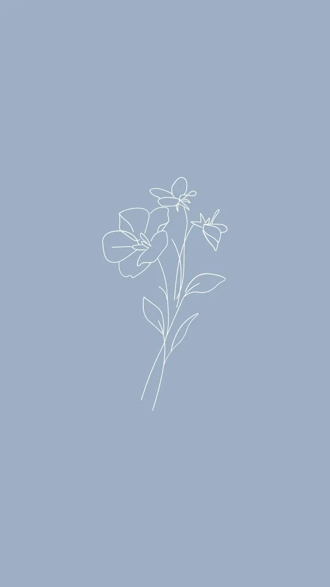 Aesthetic minimalist wallpaper