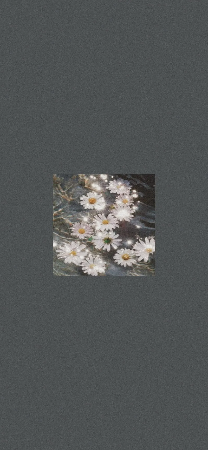 Aesthetic minimalist, aesthetic, blue aesthetic, flower aesthetic, flowers, minimalist, HD phone wallpaper