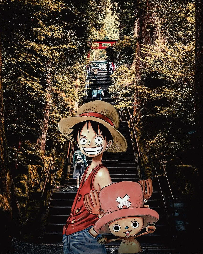 Luffy and choppy, chopper, One piece HD phone wallpaper
