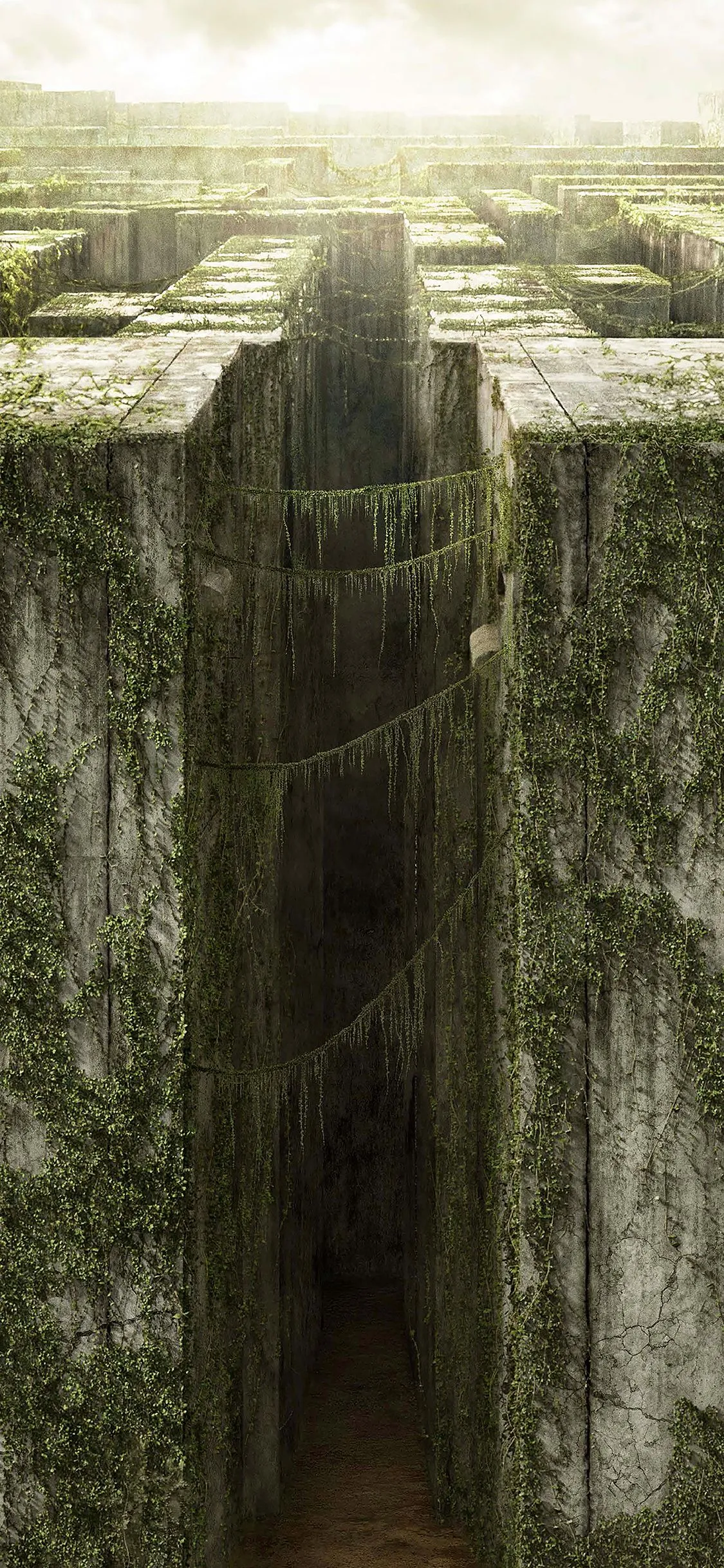 iPhoneXpapers maze runner poster