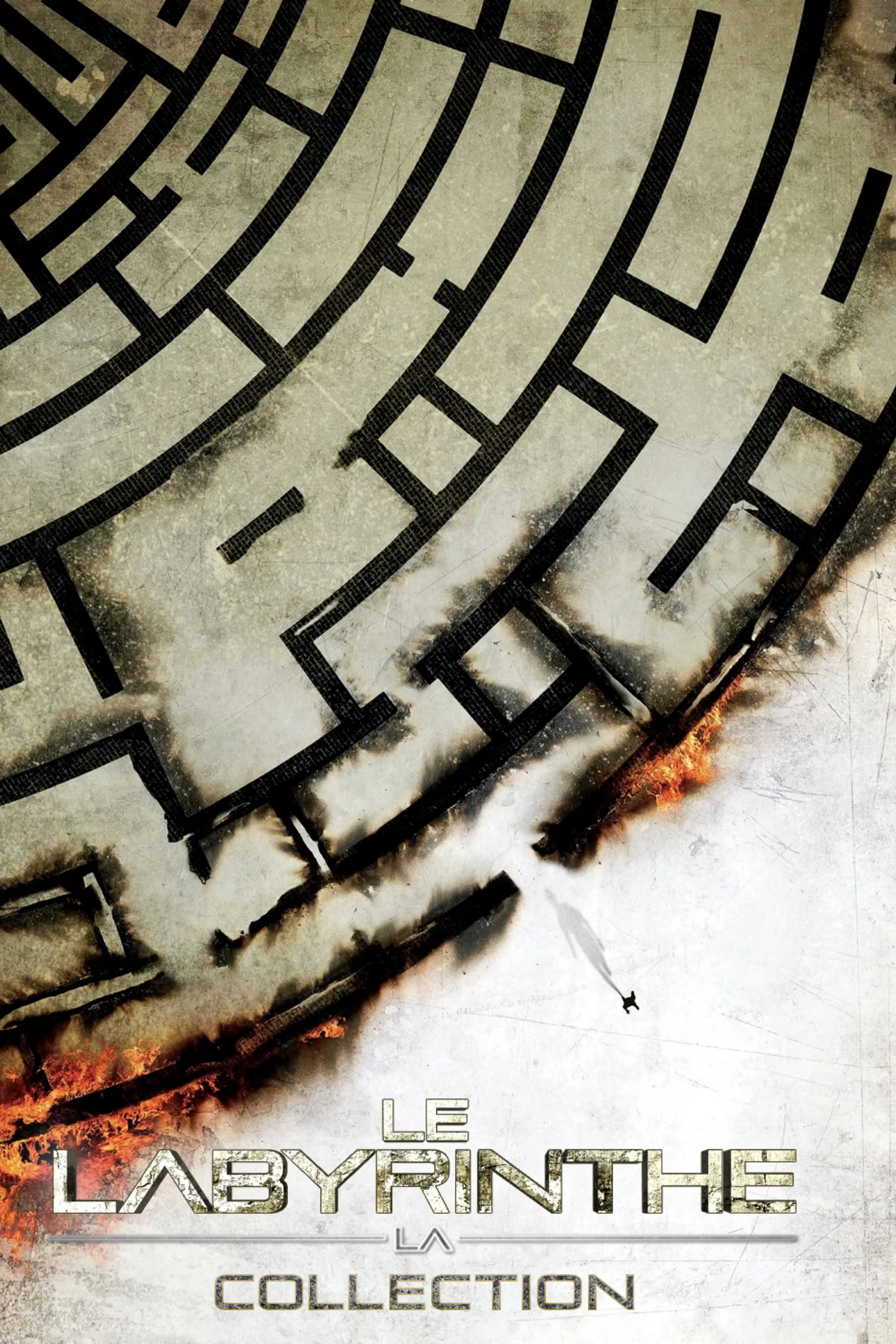 The Maze Runner Collection