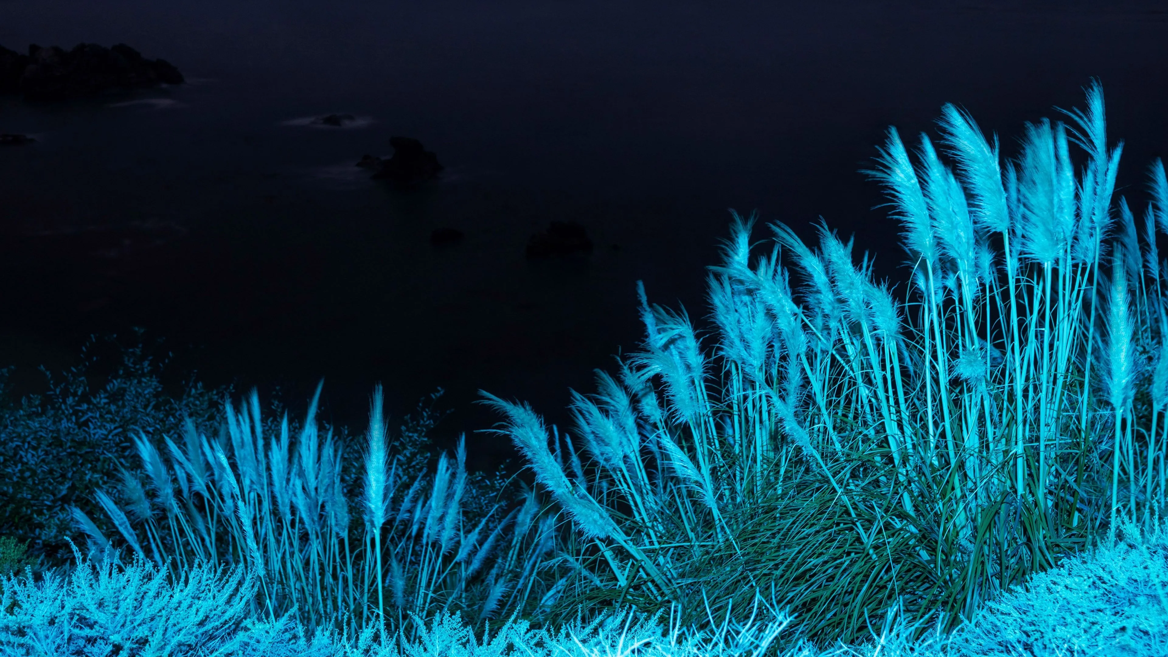 Night dark Apple 2020 MacOS 4K Desktop Theme