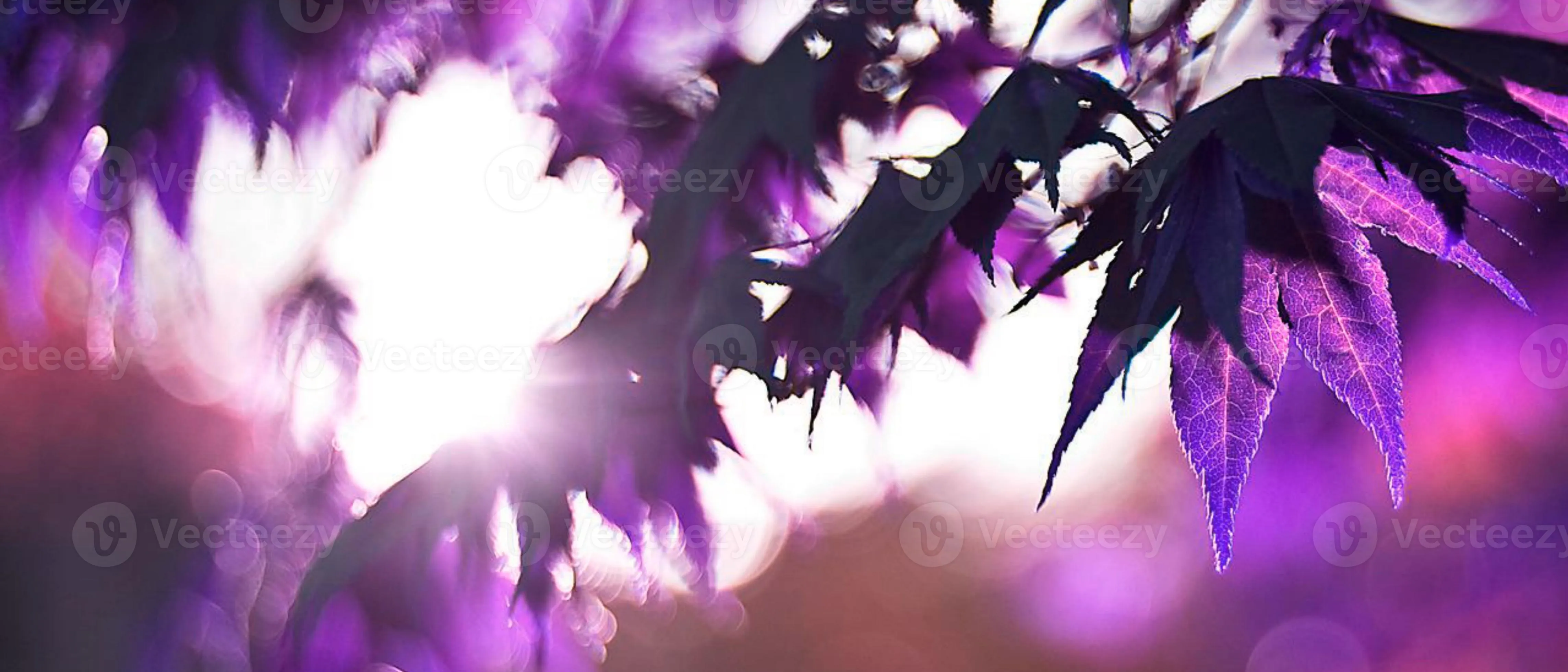 4k HD wallpaper for computer desktop with dark aesthetic and dope trippy wallpaper for cute girls