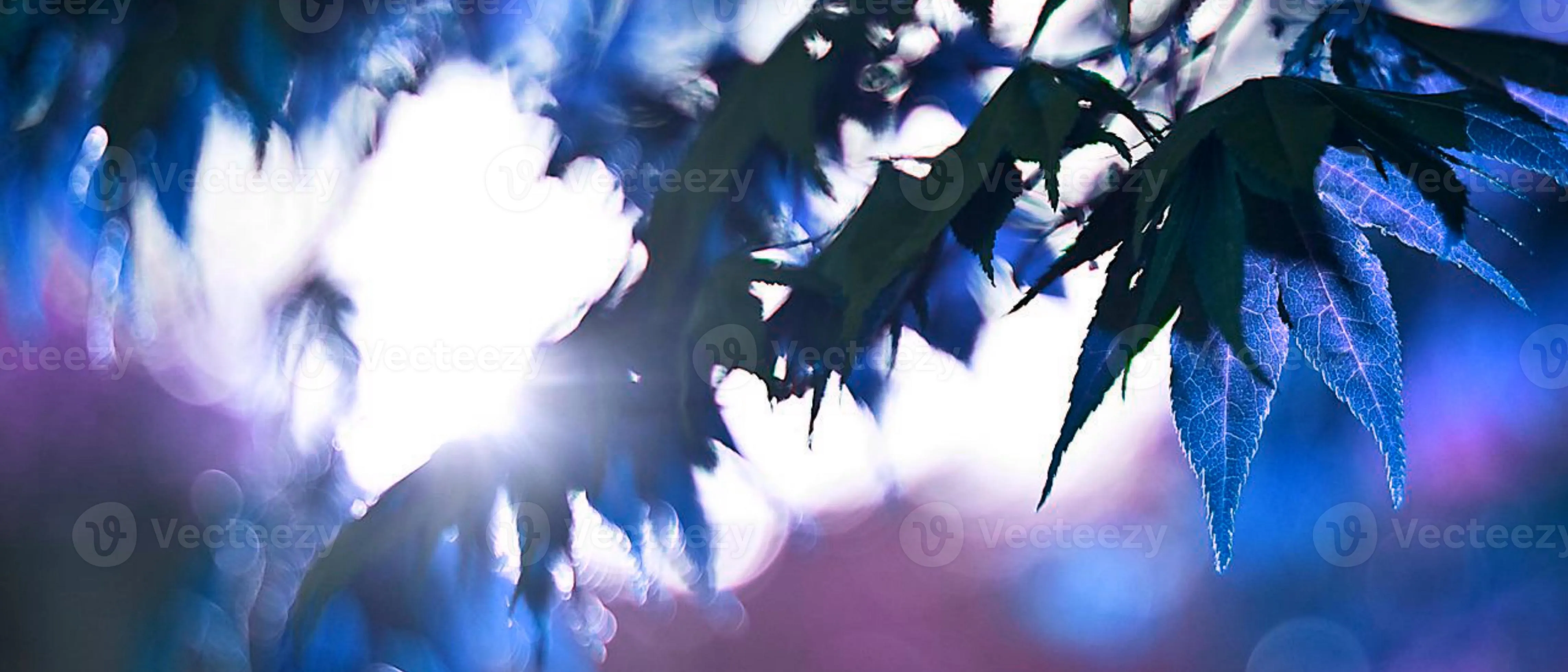 4k HD wallpaper for computer desktop with dark aesthetic and dope trippy wallpaper for cute girls