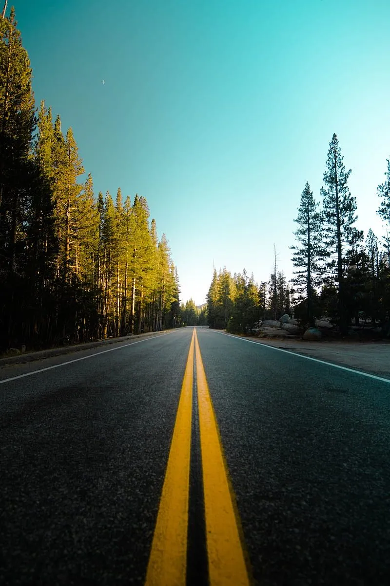 Road, night, dark, montana, forest, roads, street, highway, winter, HD phone wallpaper