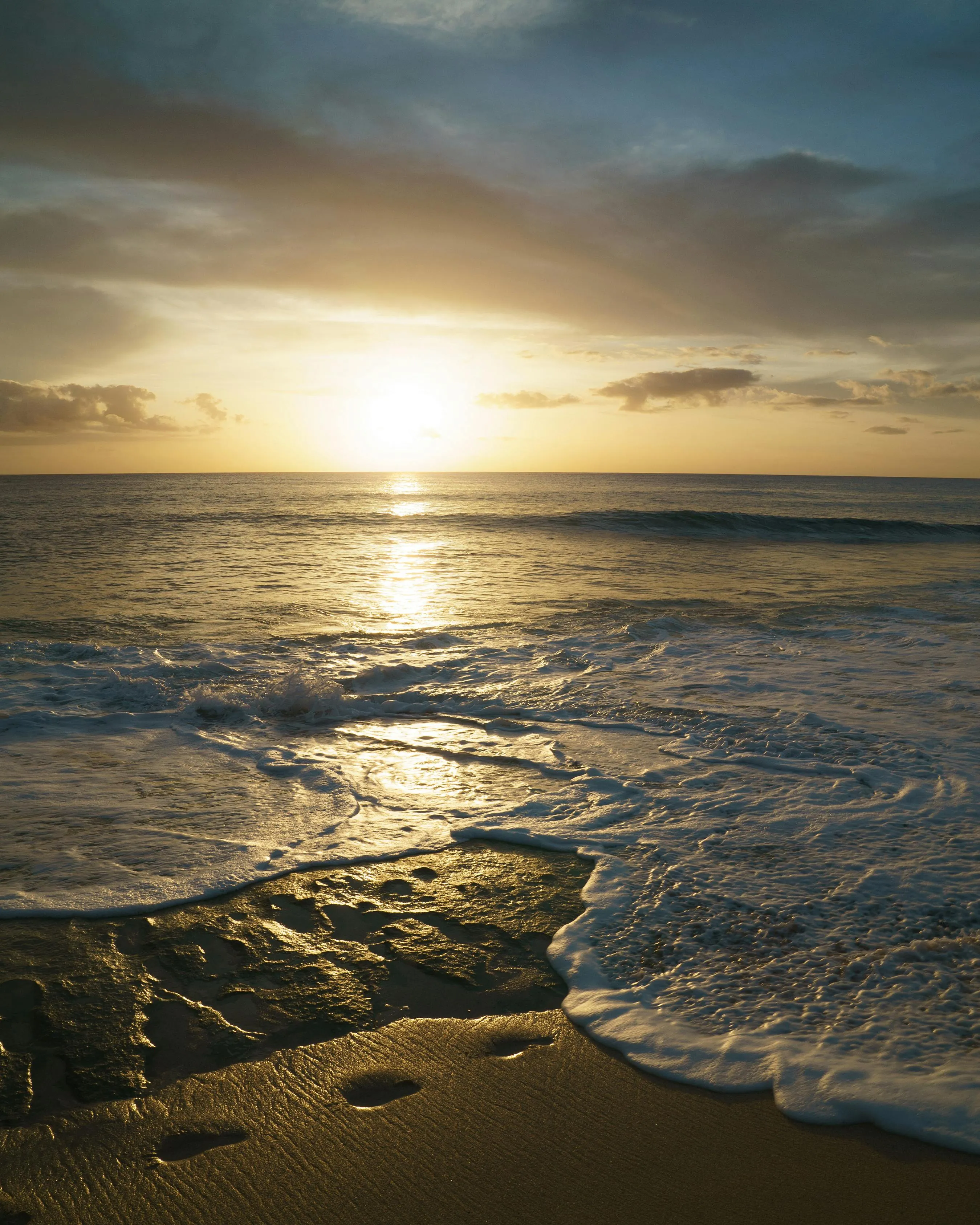 Seashore Bottom