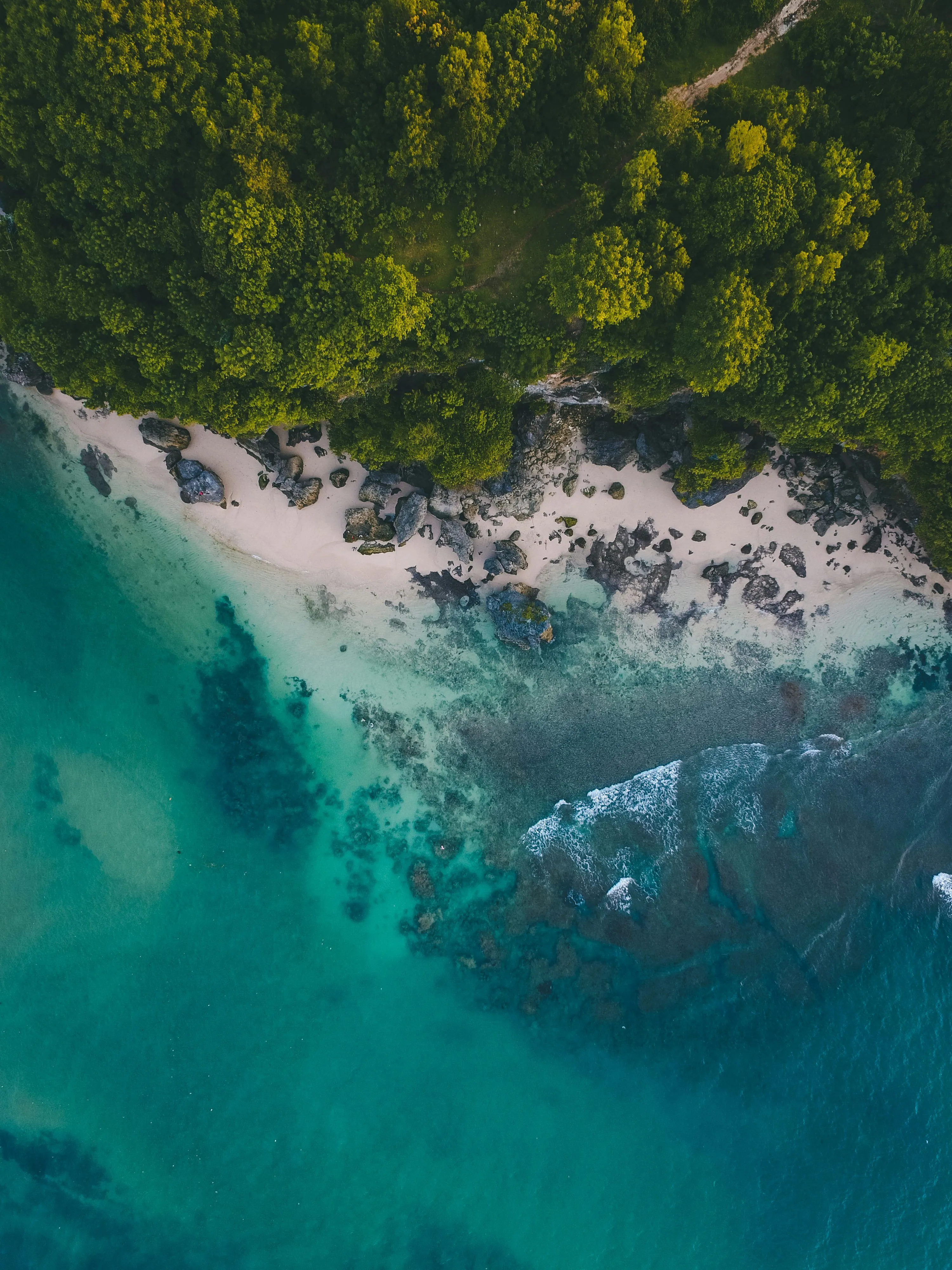 Aerial shot of seashore photo