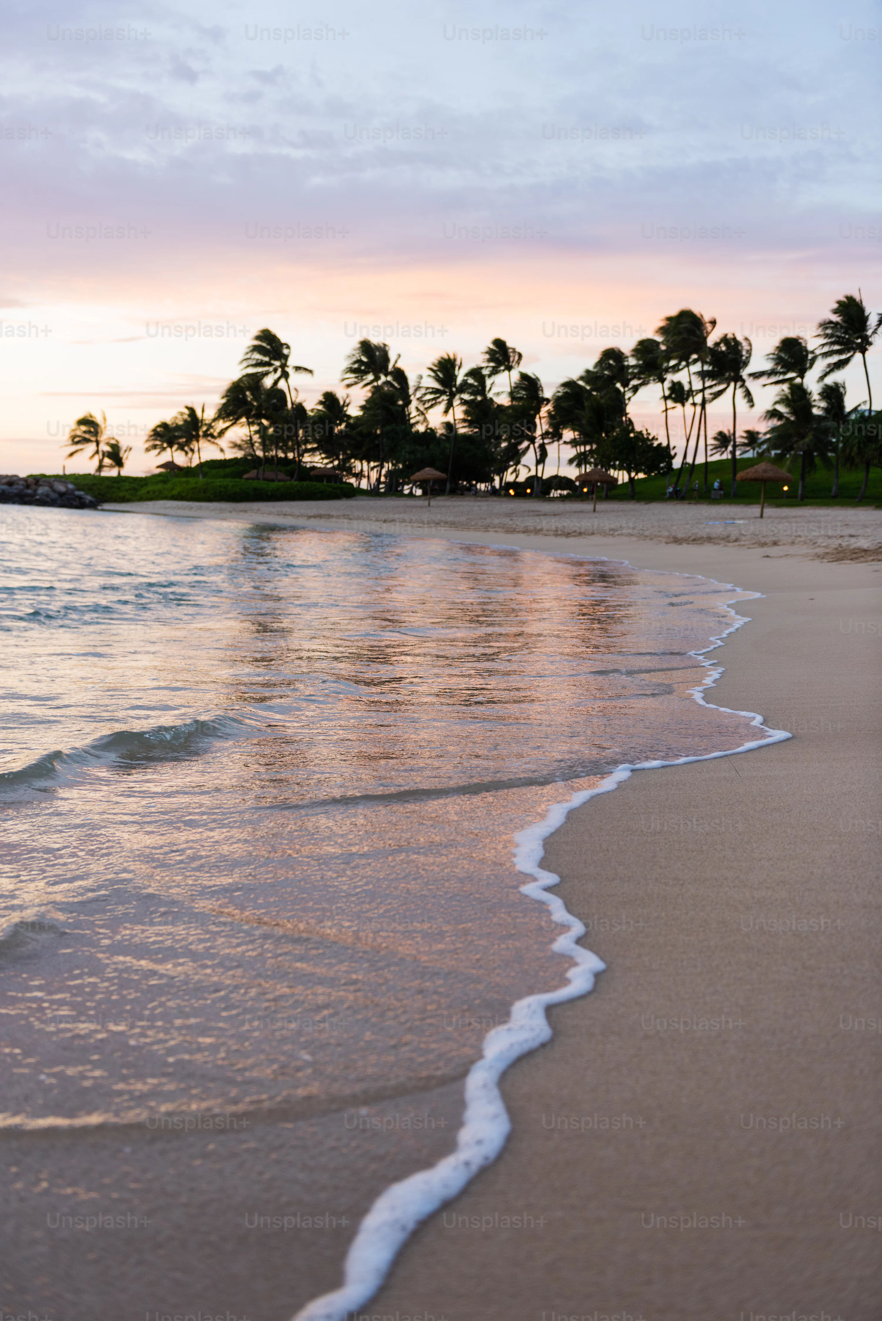 Seashore Picture [HD]. Download Free Image