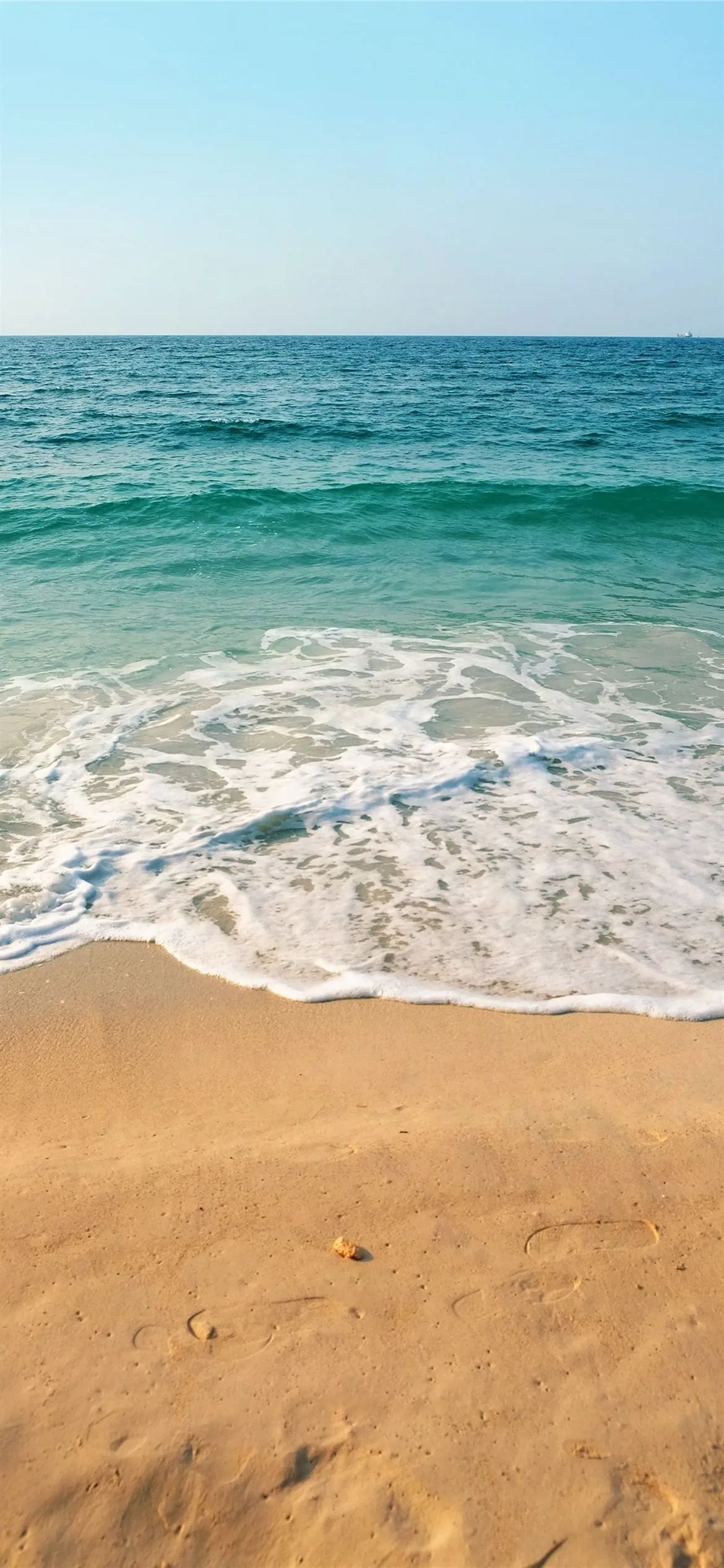 seashore under clear blue sky during daytime iPhone 12 Wallpaper Free Download