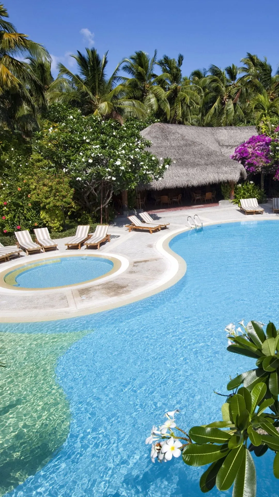 Beautiful summer pool vacantion Download Free HD Wallpaper for iPhone 6, 6s, 7, 8