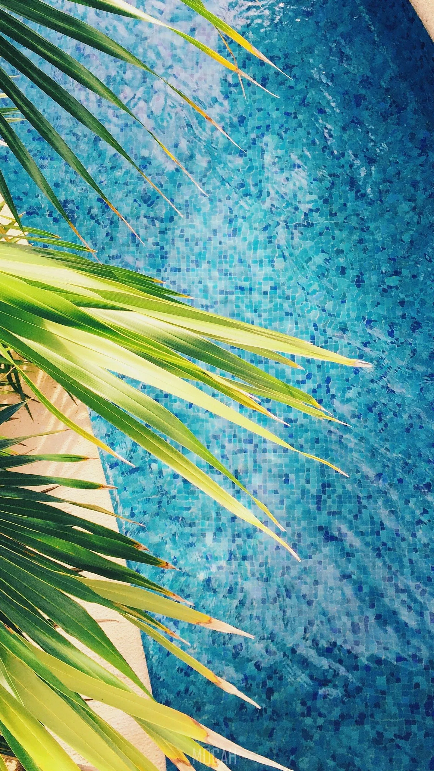 Pool Phone Wallpapers - Wallpaper Cave