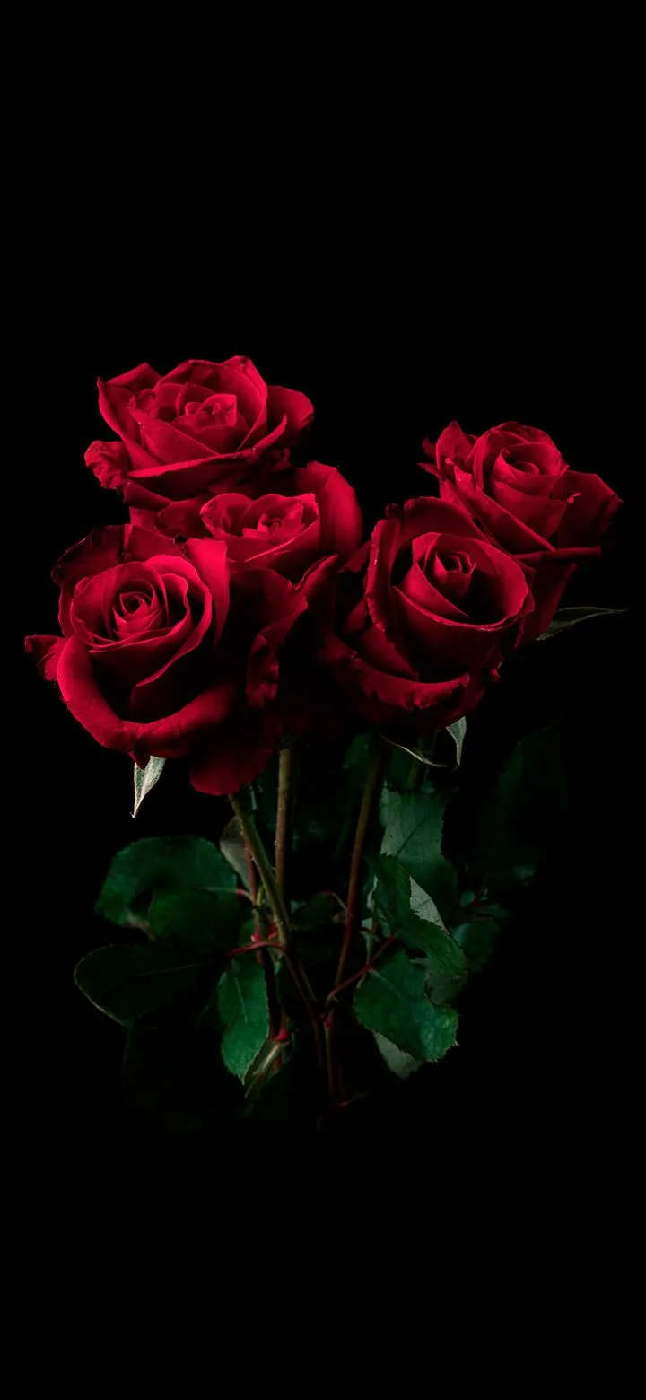 Bouquet Of Red Roses In A Dark Room 4K Phone Wallpaper