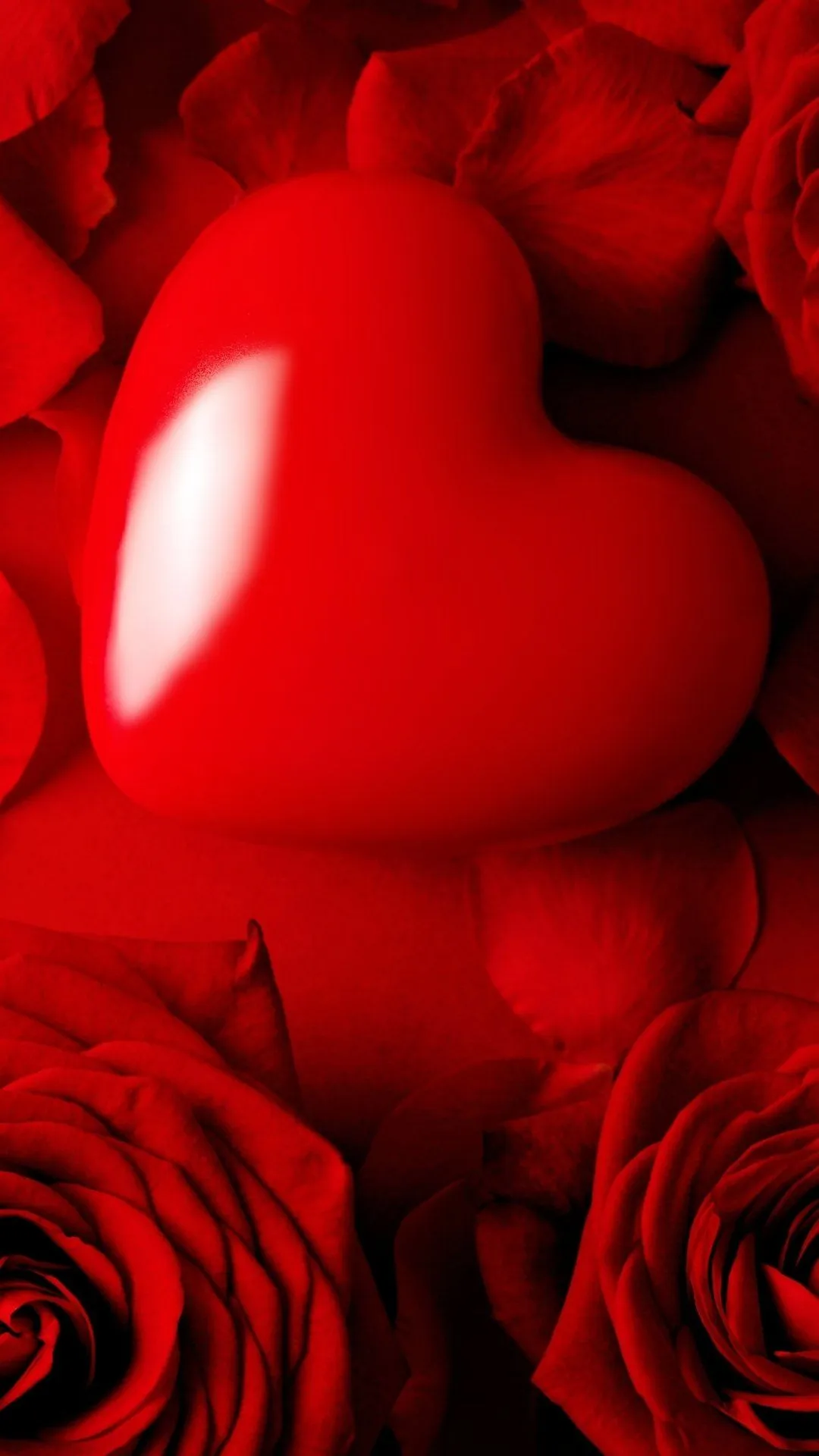Crimson Heart Among Red Roses