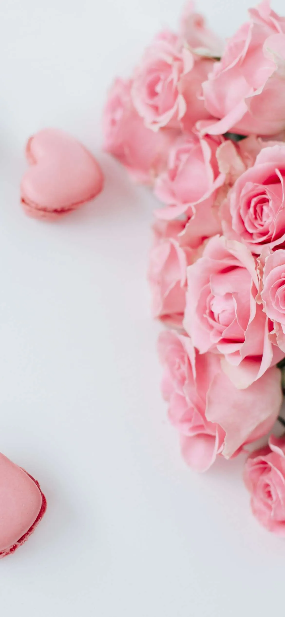 Valentines Day Wallpaper Desktop A Dozen Red Roses IPhone For Valentine's Day, Dark Red Rose, HD Phone Wallpaper Valentines Day Background