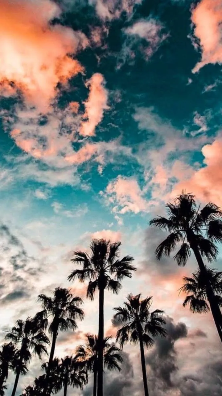 summer vibes wallpaper