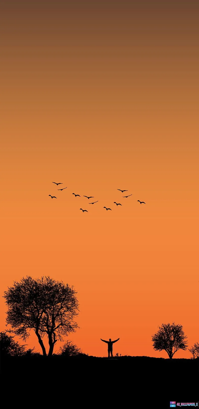 Aloneboy, bad, birds, black, lonely, love, lovely, nature, orange, sunset, vibes, HD phone wallpaper