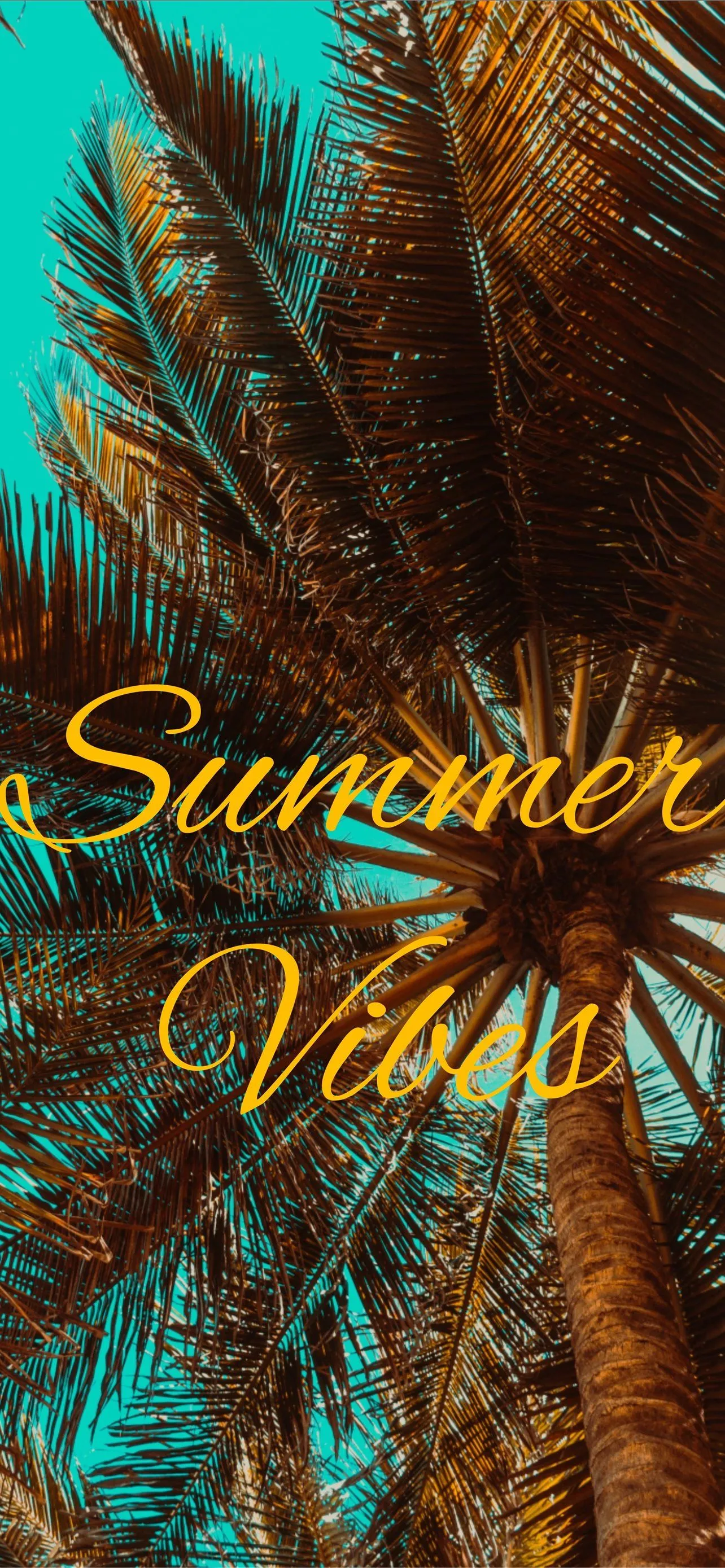 Summer Vibes Top Free Summer Vibes Background Acc. iPhone Wallpaper Free Download