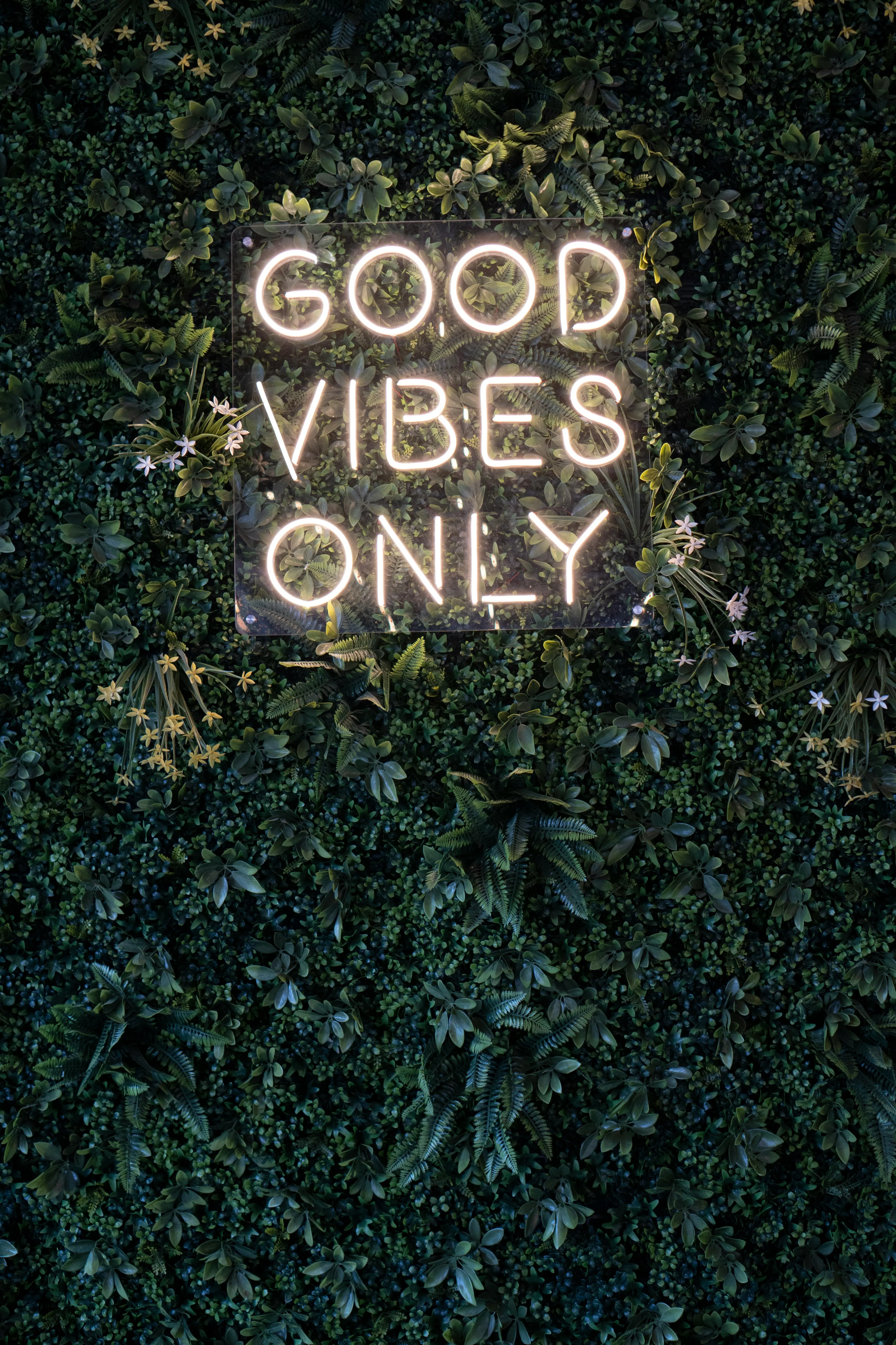 Good Vibes Only Text on Board on Hedge · Free